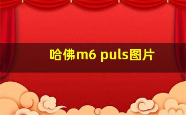 哈佛m6 puls图片